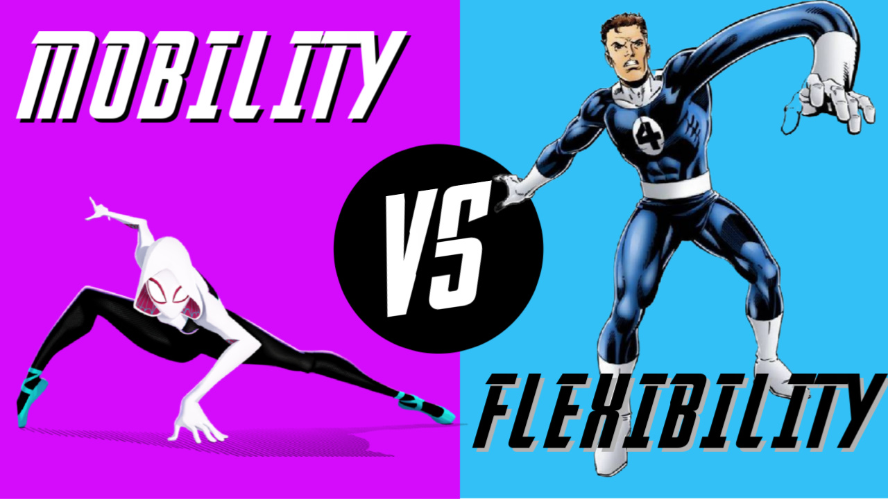 MOBILITY VS FLEXIBILITY